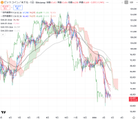 btcのチャート金曜日のPPIが重要だと思っていてスルーしてたらめちゃ落ちてる草コインからの資金抜けと下落幅の増幅  ロスカットの連鎖＄６万まで落ちてもおかしくない直近最安値６万なんで可能性はあると思うセリングクライマックス（総悲観での大底）の明確なサインが出るまで買い無し