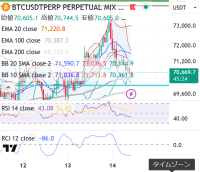 無理に反発を狙うのではなく、価格がこのブルーの最終防衛ラインまで落ちてくるのを引き付けて、そこで買い支えが入るか（Wボトムの形成や、下位足での明確なトレンド転換など）が確認できてから動くのが最もリスクが低そうです。このブルーのライン付近は、大口（クジラ）たちも絶好の買い増しポイントとして監視している可能性が高い水準です。この価格帯でのクジラのオンチェーン動向や、直近の現物ETFの資金フロー（流出入）の状況を詳しく調べてみましょうか？